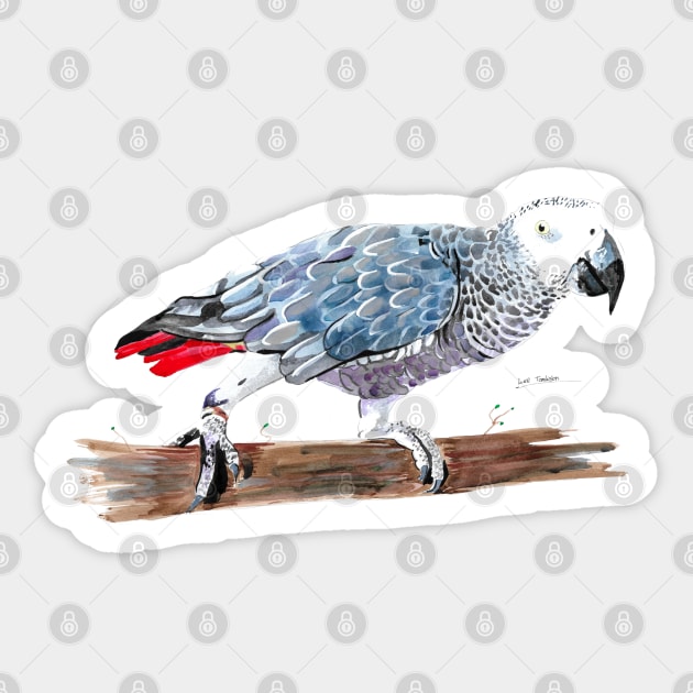 African Grey Parrot 2 Sticker by lucafon18